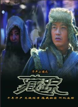 華嚴(yán)小鎮(zhèn)2之藏蹤(全集)