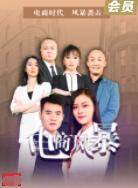 電商風(fēng)暴(全集)