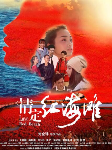 情定紅海灘(全集)