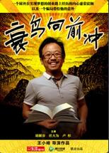 衰鳥(niǎo)向前沖(全集)