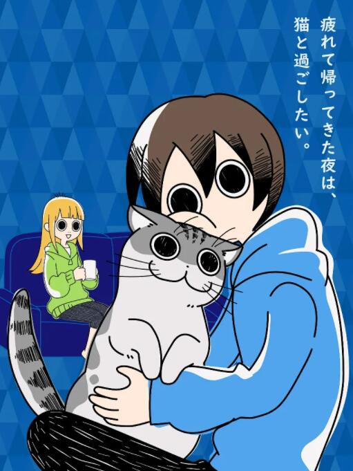 關(guān)于養(yǎng)貓我一直是新手(全集)