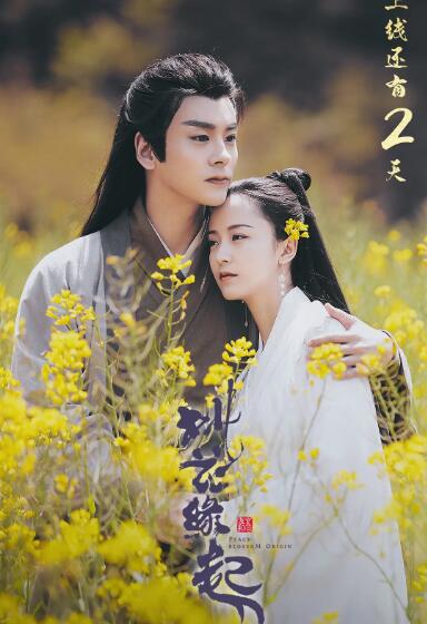 桃花緣起(全集)