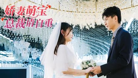 [嬌妻萌寶總裁請自重](全集)