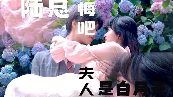 陸總懺悔吧，夫人才是白月光(全集)