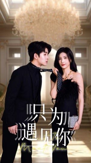 只為遇見你(全集)