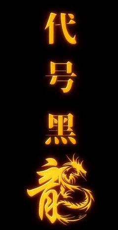 代號(hào)黑龍(全集)