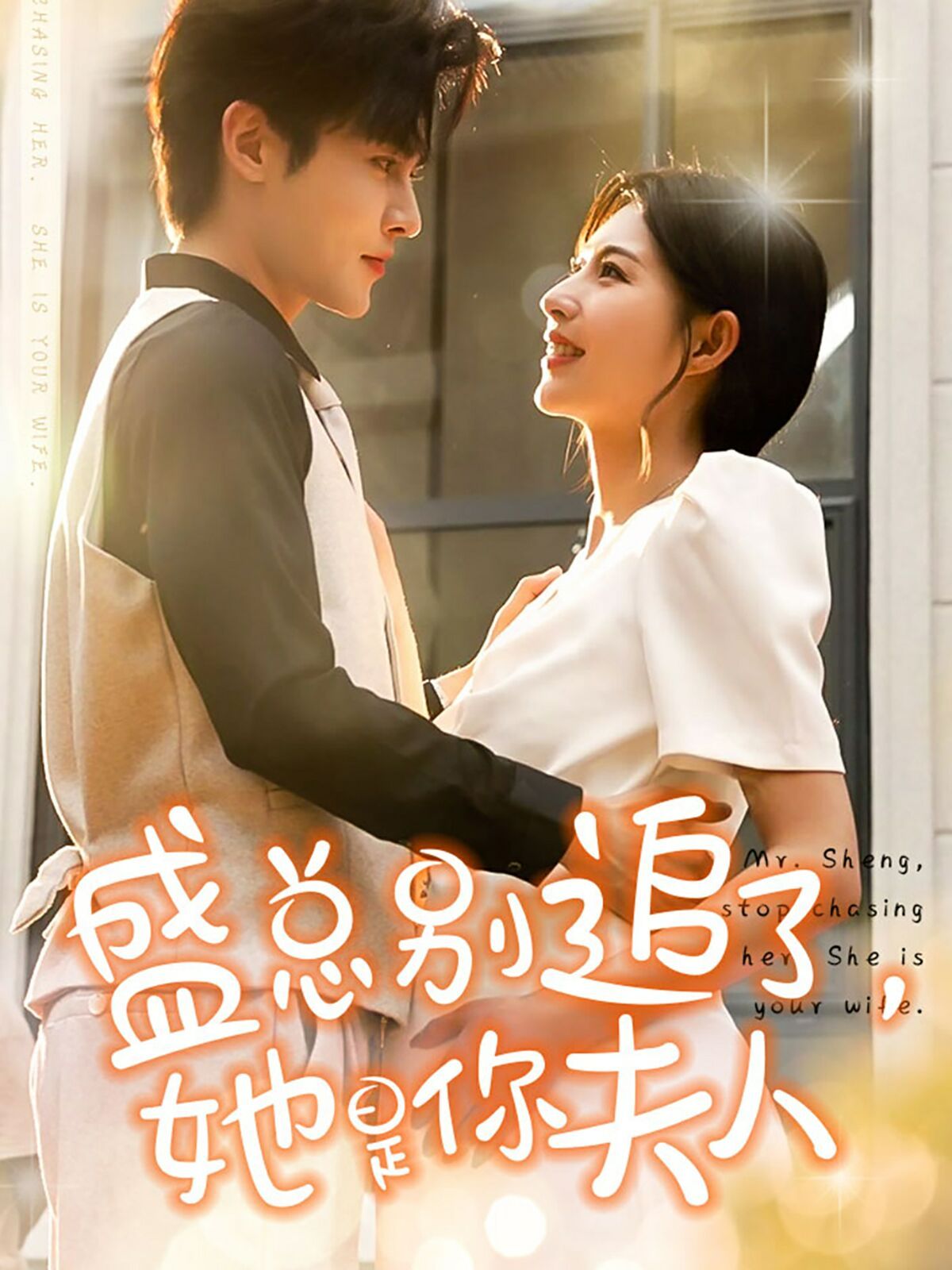 盛總別追了，她是你夫人(全集)