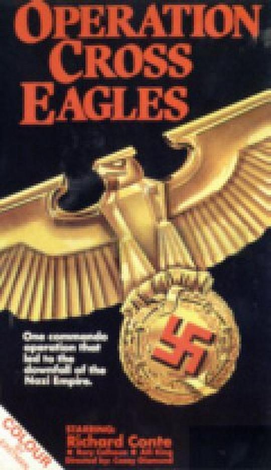 十字鷹行動(dòng)(全集)