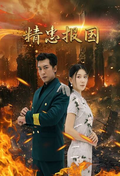 精忠報(bào)國(全集)