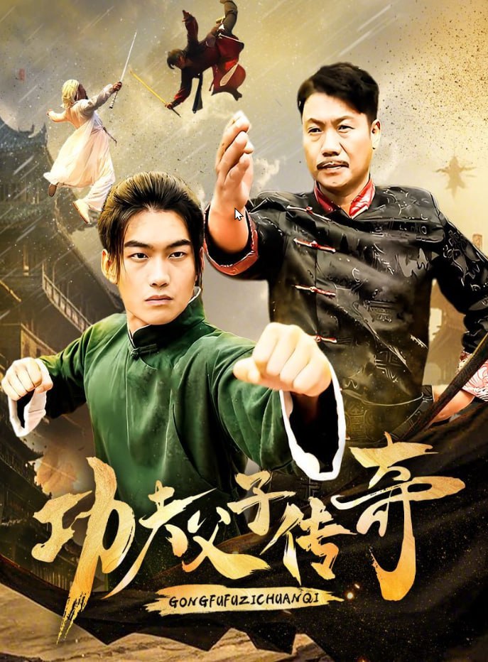 功夫父子傳奇(全集)