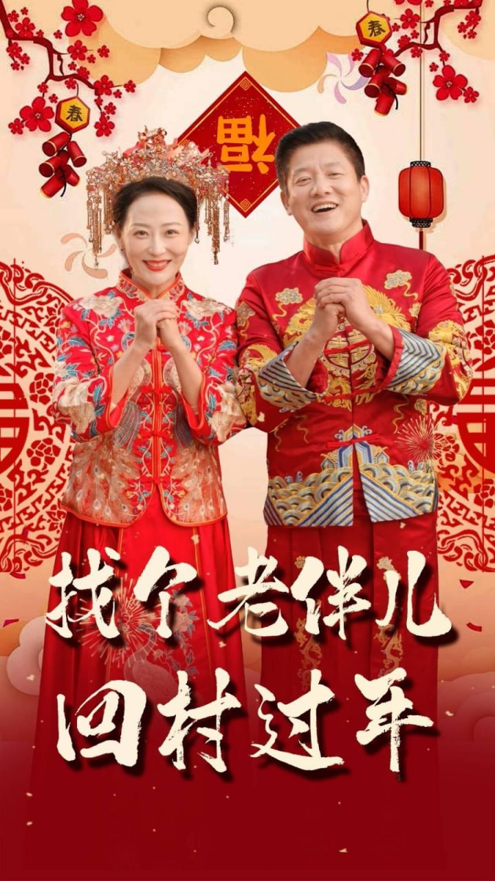 找個(gè)老伴兒回村過年(全集)