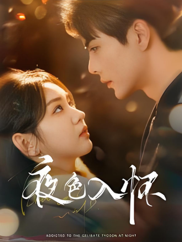 夜色入懷(全集)