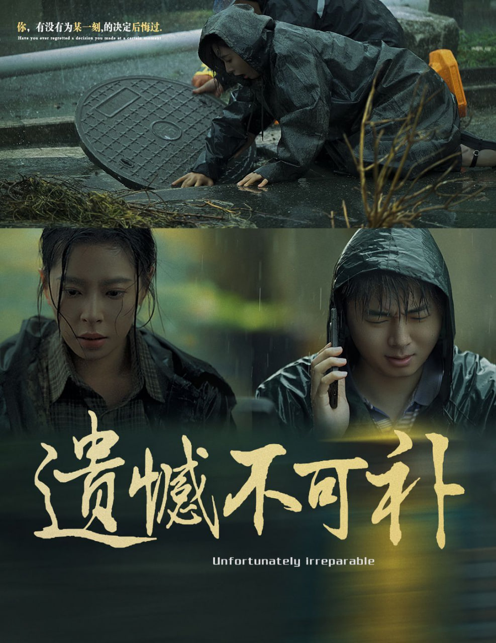 遺憾不可補(全集)