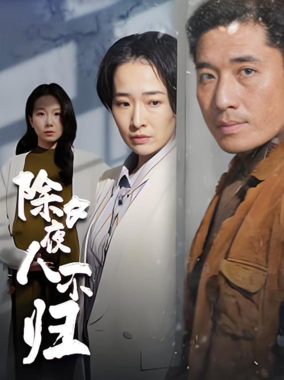 除夕夜人不歸(全集)