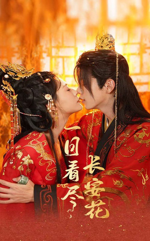 一日看盡長(zhǎng)安花(全集)