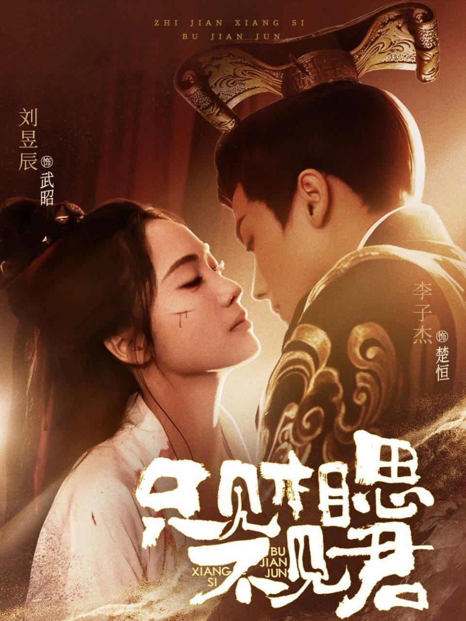 只見相思不見君(全集)