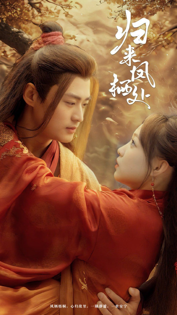 歸來(lái)鳳棲處(全集)