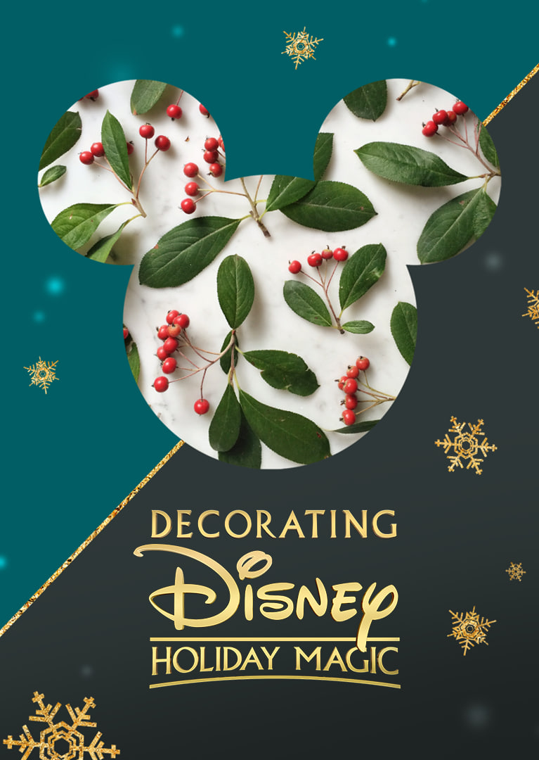 奇妙迪士尼：魔法圣誕(全集)