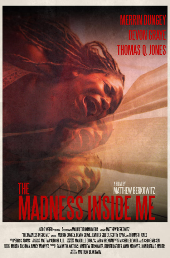 我內(nèi)心的瘋狂(全集)