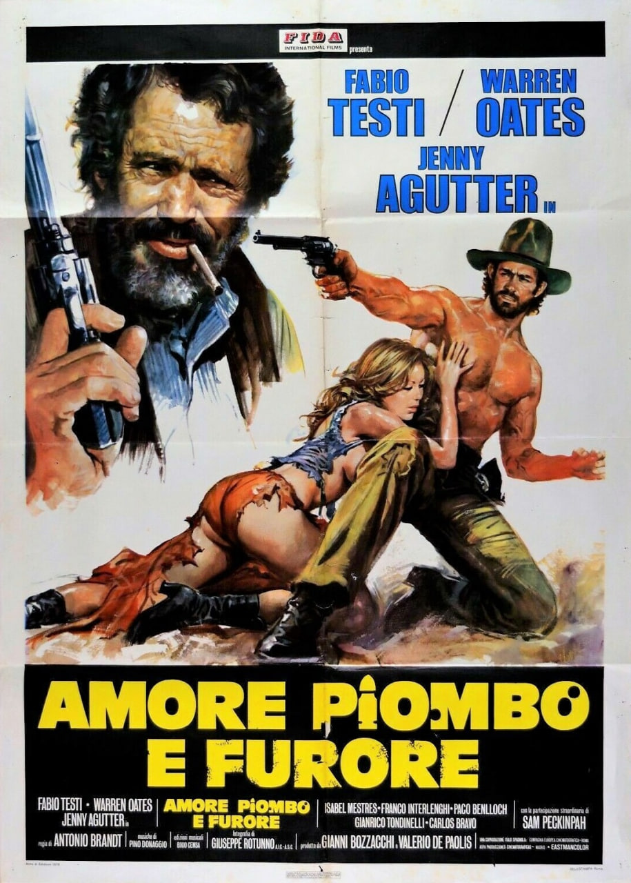 怒發(fā)沖冠為紅顏(全集)