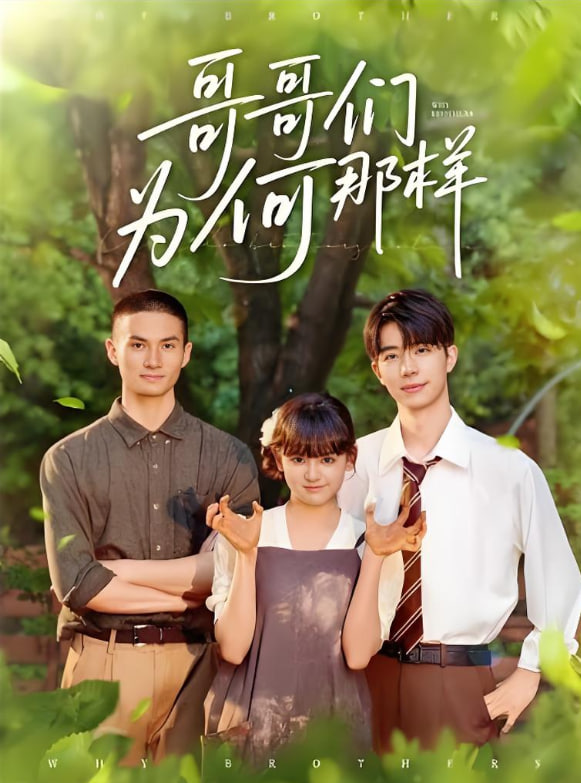 哥哥們?yōu)楹螌?duì)我那樣(全集)