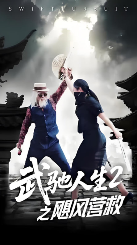 武馳人生2之颶風(fēng)營救(全集)