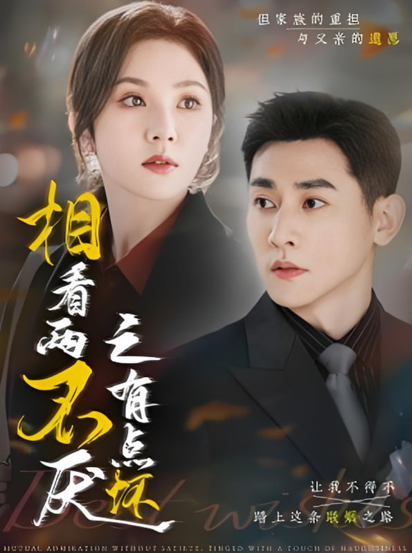 相看兩不厭之有點(diǎn)壞(全集)