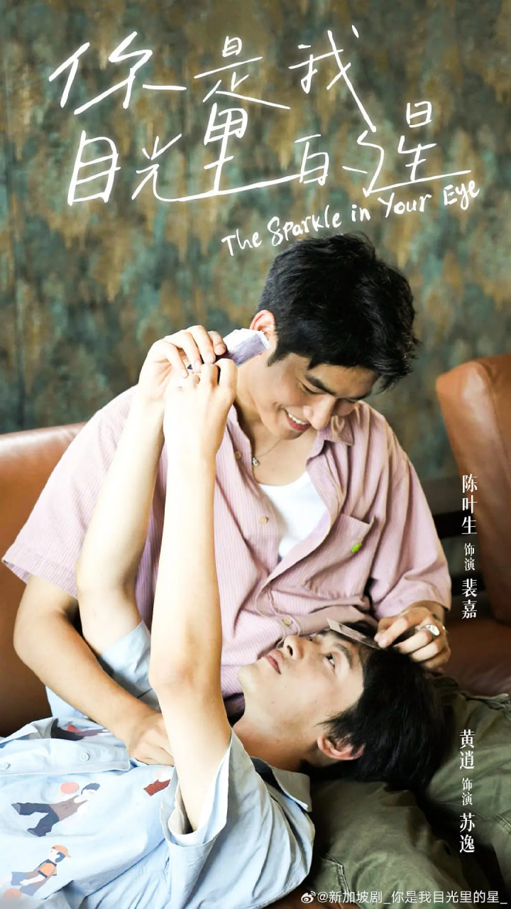 你是我目光里的星(全集)