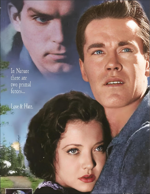 孤松林徑(全集)