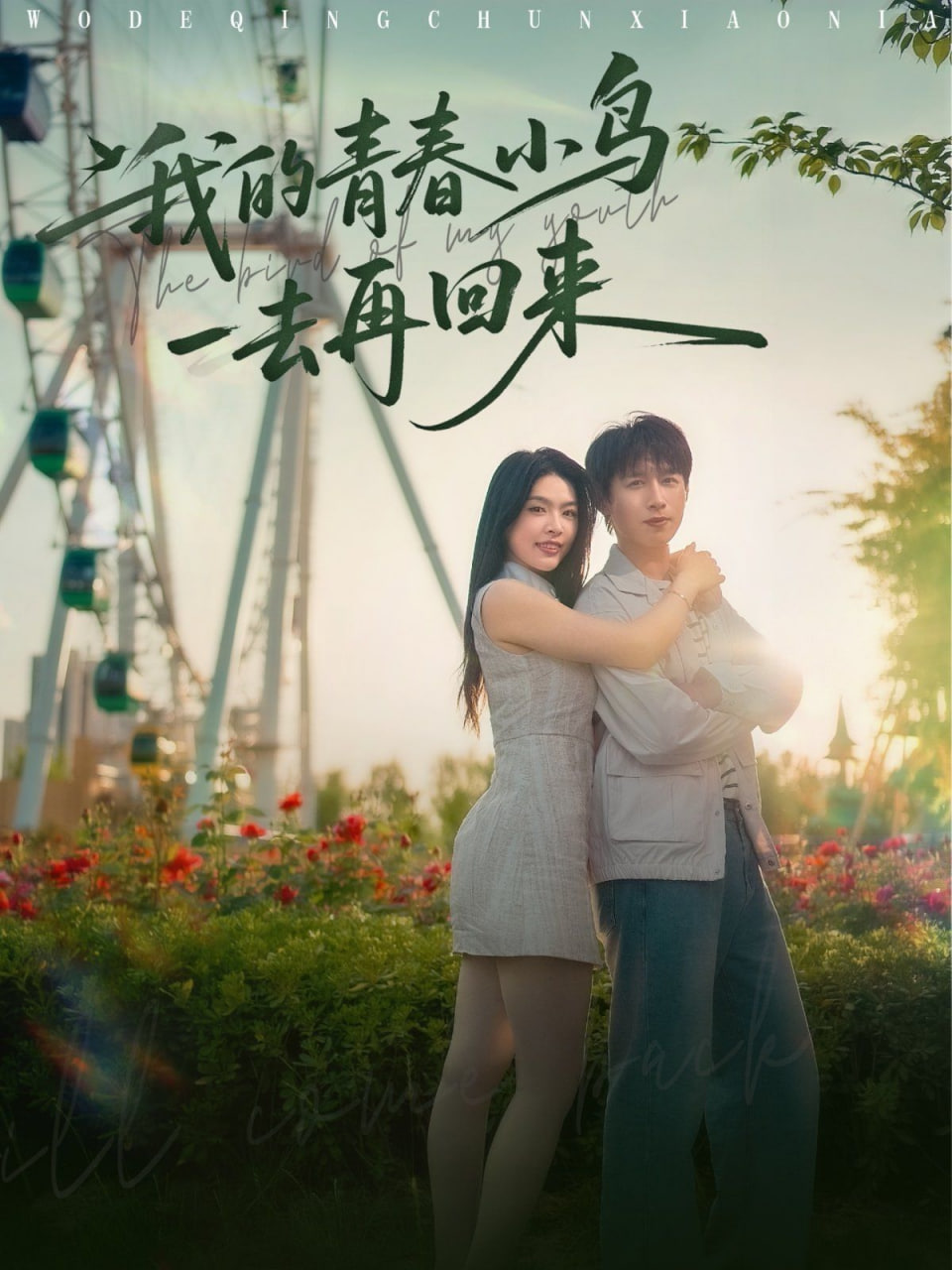 我的青春小鳥一去再回來(全集)