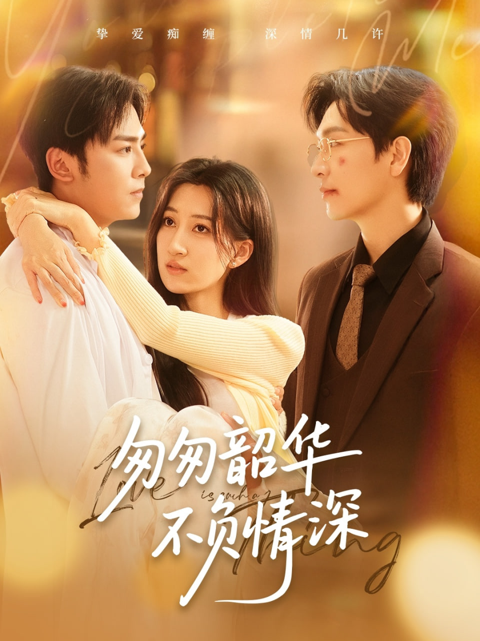 匆匆韶華不負(fù)情深(全集)