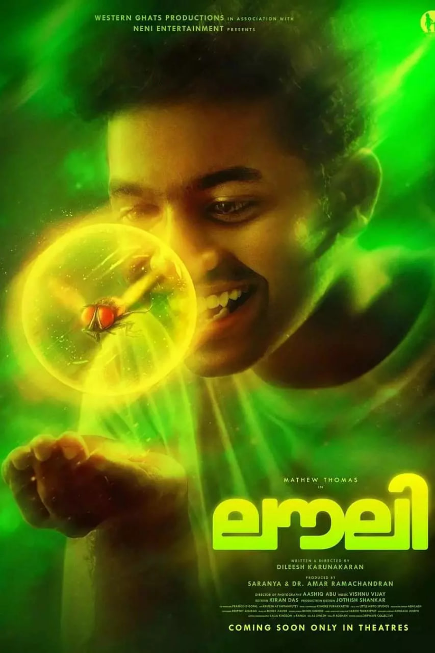 小蠅歸來(lái)(全集)