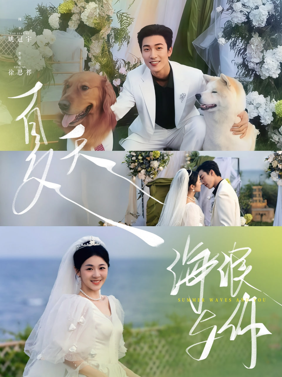 夏天，海浪與你(全集)