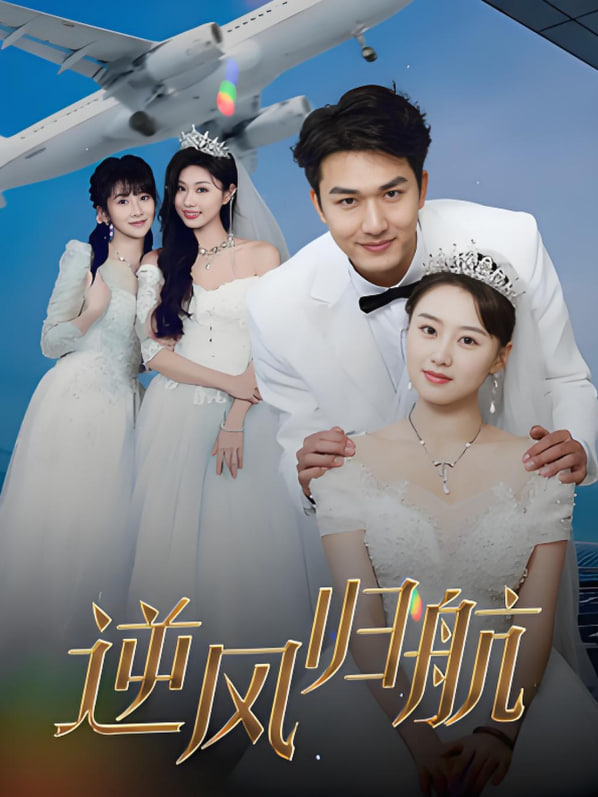 逆風(fēng)歸航(全集)