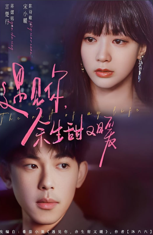 遇見你余生甜又暖(全集)