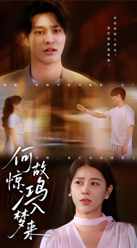 何故驚鴻入夢(mèng)來(lái)(全集)