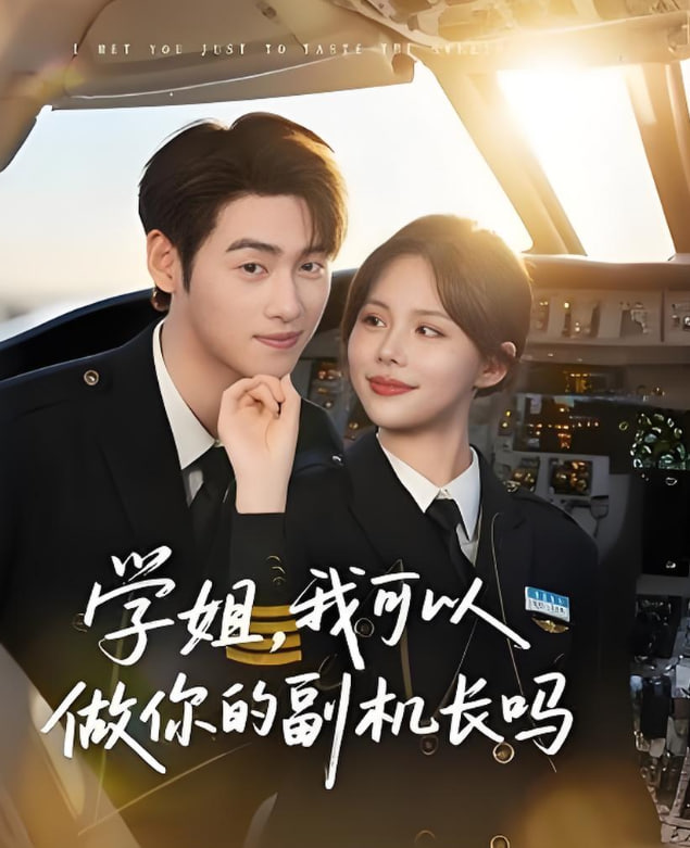 學(xué)姐我可以做你的副機(jī)長嗎(全集)