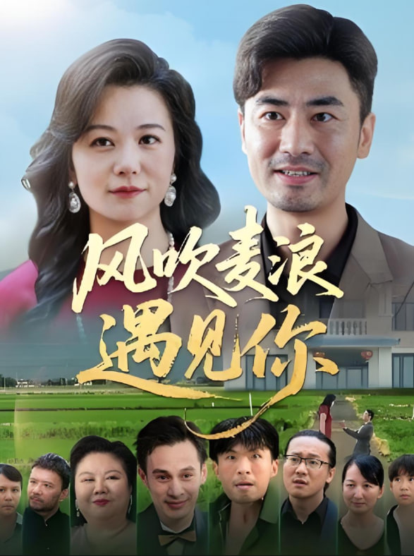風(fēng)吹麥浪遇見你(全集)