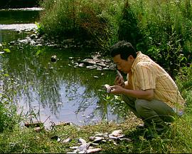 來(lái)福，來(lái)福