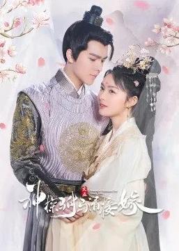 神探駙馬請接嫁(全集)