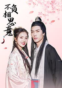 不負(fù)相思意(全集)