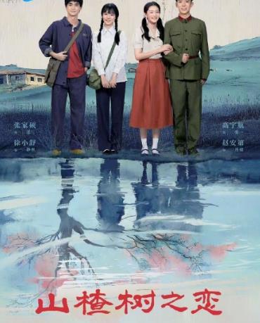 山楂樹之戀2025(全集)