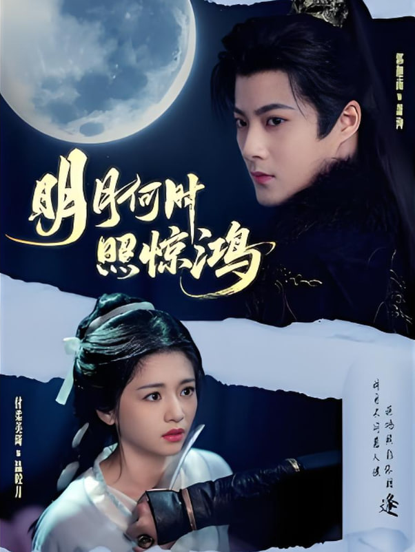 明月何時(shí)照驚鴻(全集)