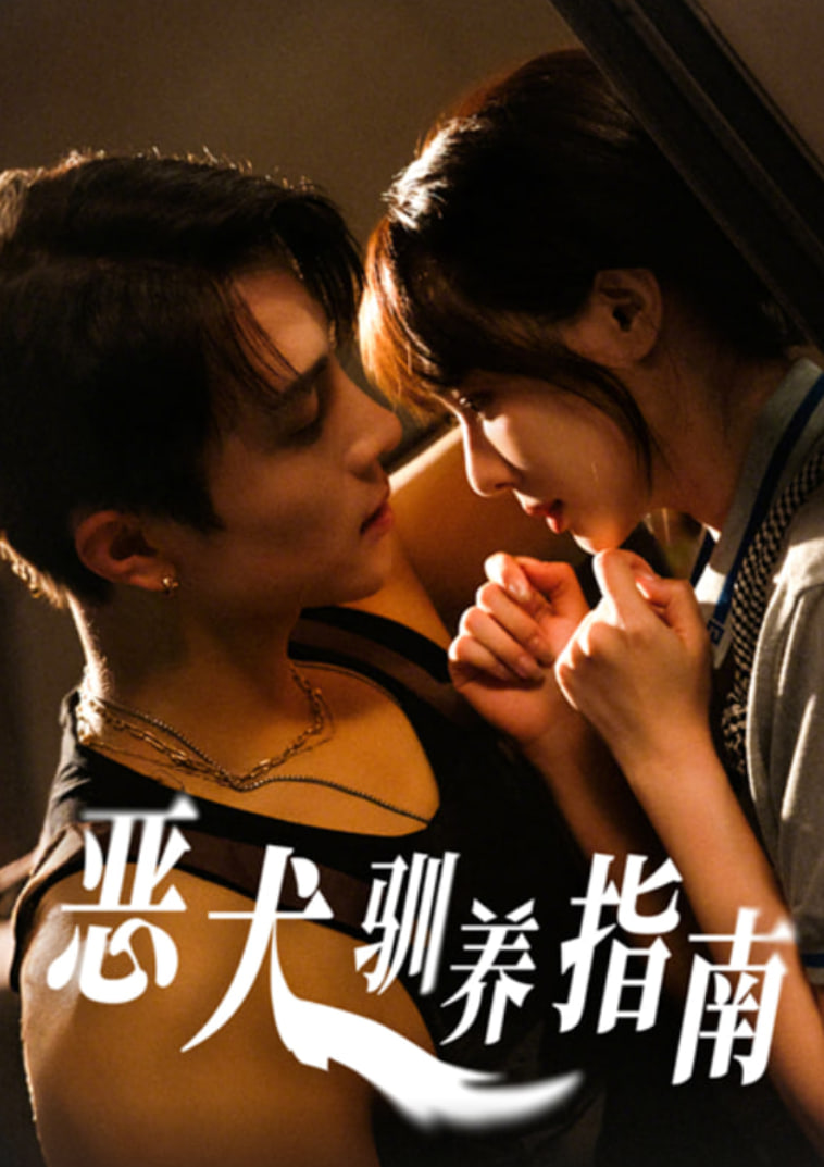 惡犬馴養(yǎng)指南(全集)