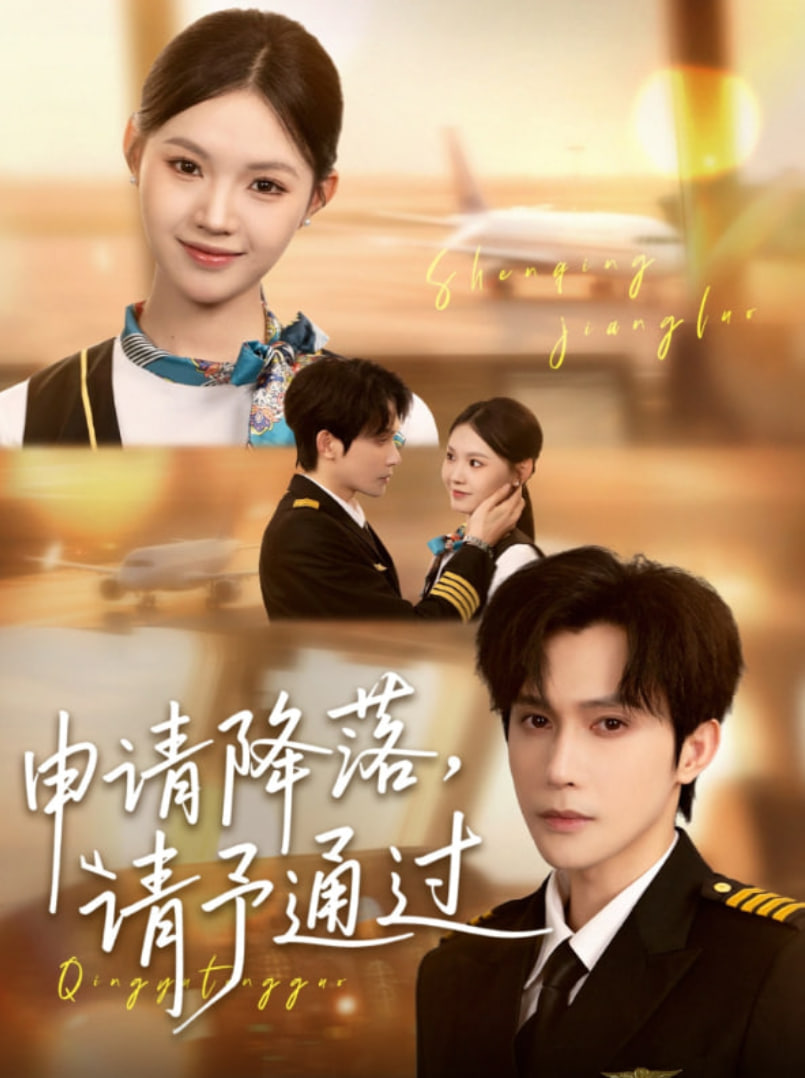 申請降落請予通過(全集)