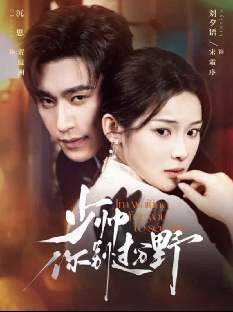 少帥你別過分野(全集)