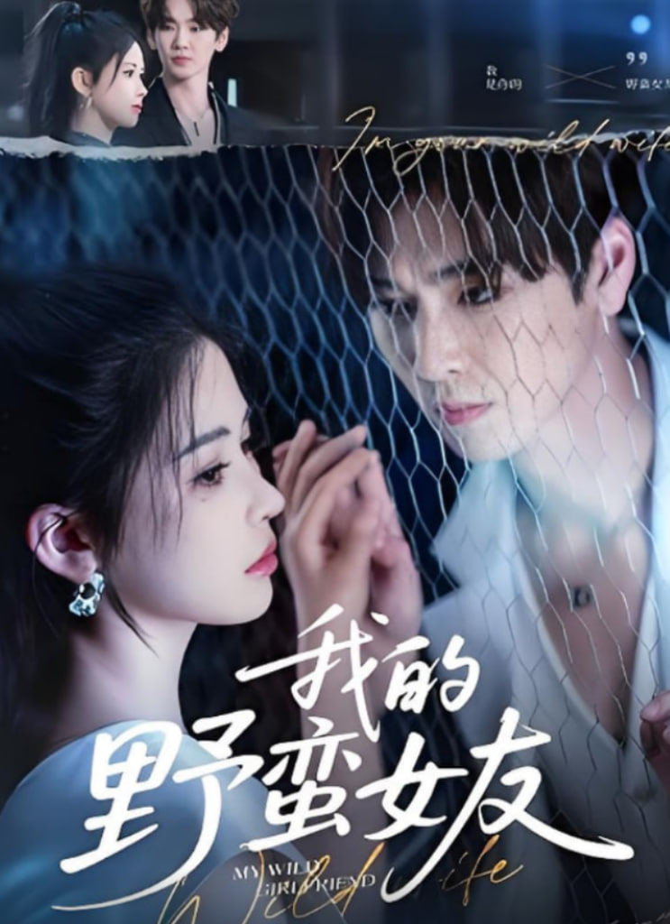 我的野蠻女友(全集)