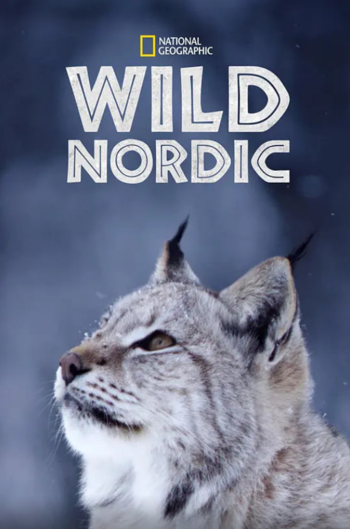 野性北歐 第一季(全集)