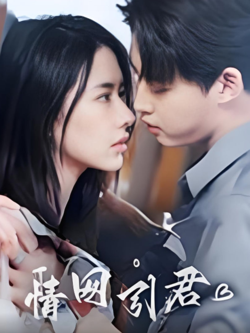 情網(wǎng)引君(全集)