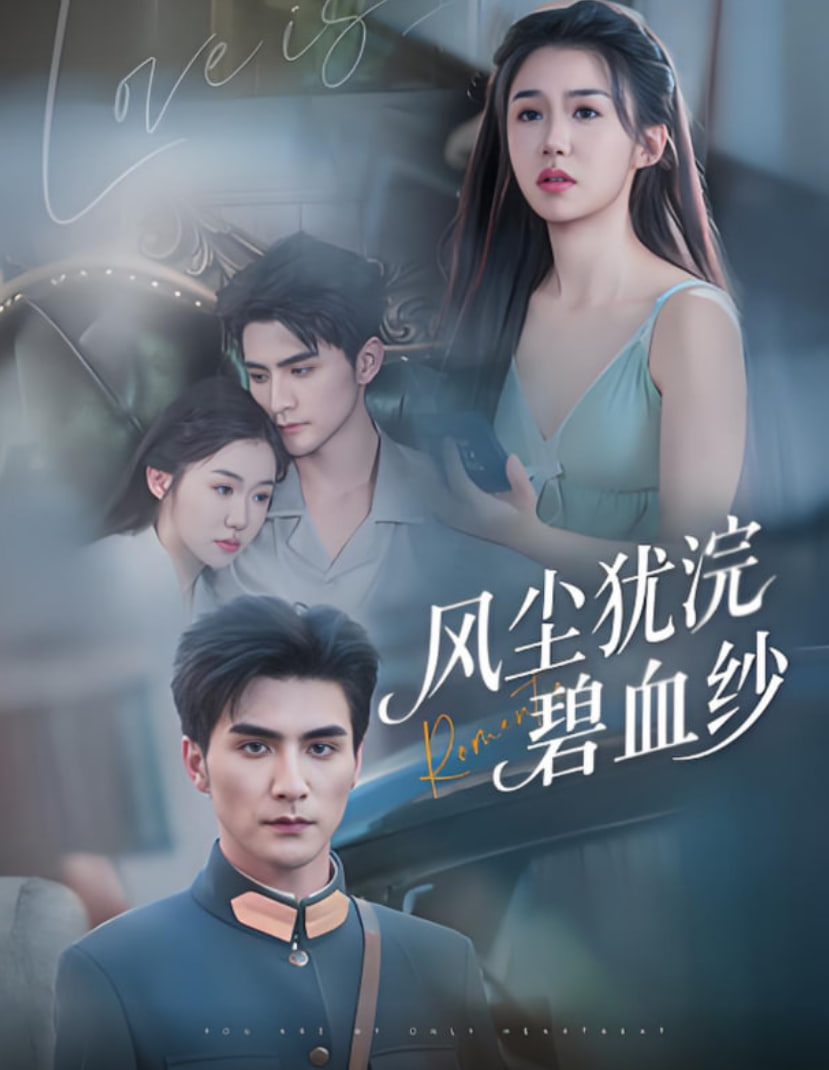 風(fēng)塵猶浣碧血紗(全集)